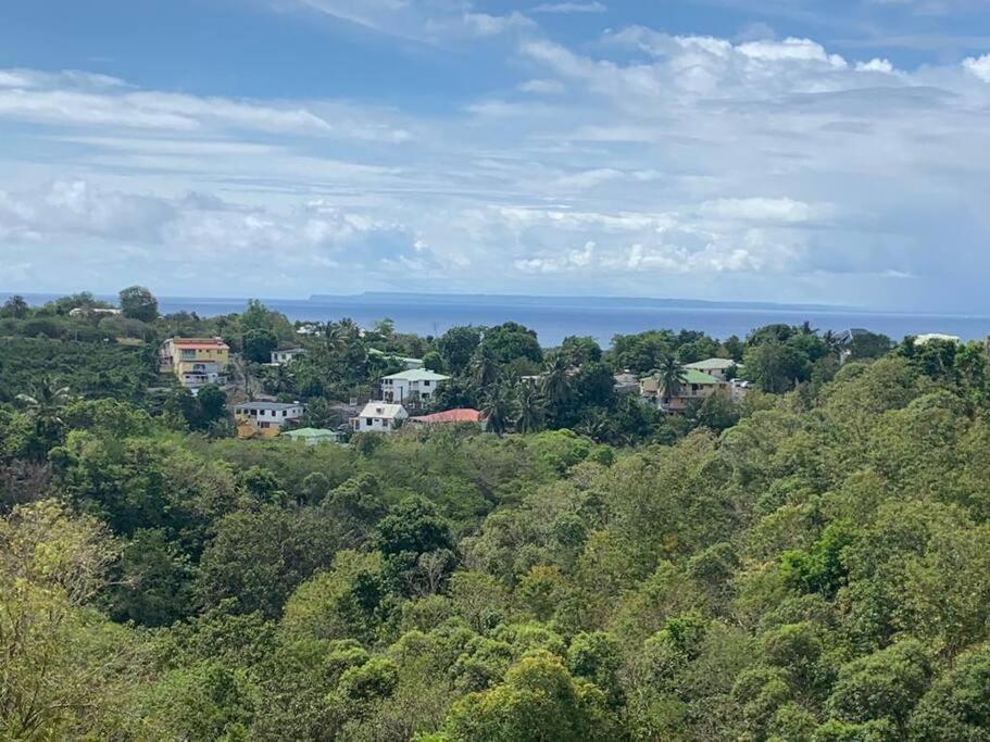 Les Villas Du Bambou - Villa Bambou Jusqu'A 6 Pers Le Gosier  Esterno foto